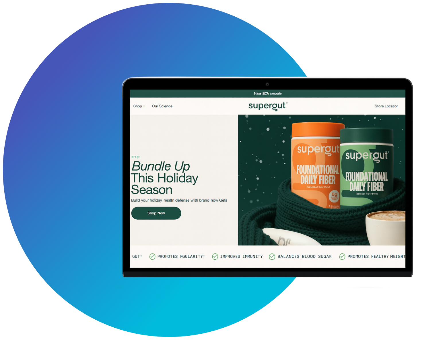 custom website development